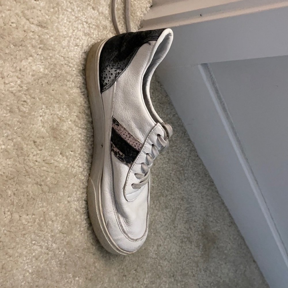 shoe